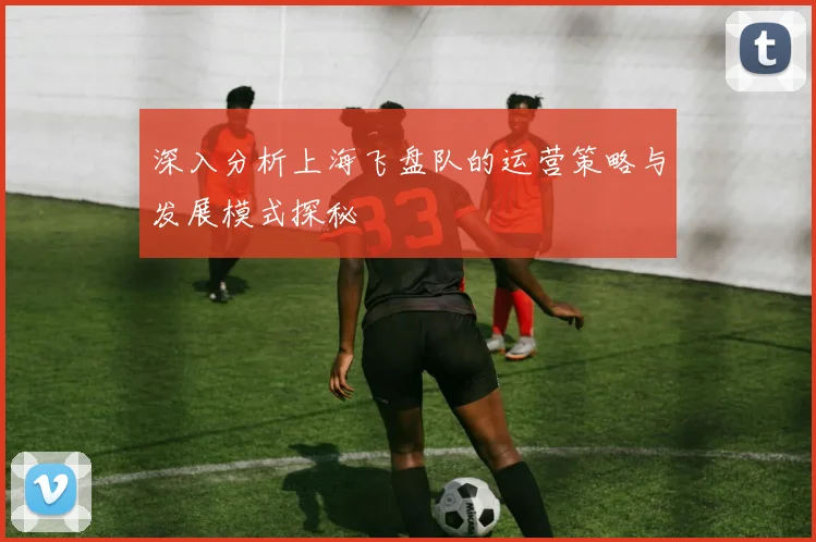 深入分析上海飞盘队的运营策略与发展模式探秘